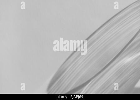 Schatten- und Lichtbrechung an weißen Wänden überlagern Fotoeffekt, Sonnenstrahlen, die durch Glas und Prisma brechen, verschwommene ätzende Effekte. Tageslicht Stockfoto