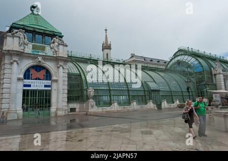 Das Schmetterlingshaus im Wiener Burggarten Stockfoto