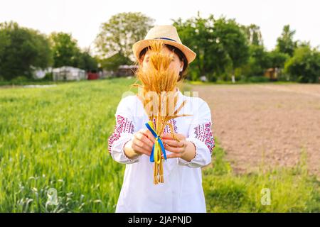 Unschärfe Frau in vyshywanka halten Bouquet von reifen goldenen Ähren auf der Wiese Natur Hintergrund gebunden. Flagge Ukraine. Unabhängigkeit. Agricu Stockfoto