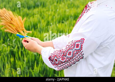 Unschärfe Frau in vyshywanka halten Bouquet von reifen goldenen Ähren auf der Wiese Natur Hintergrund gebunden. Flagge Ukraine. Unabhängigkeit. Ukrain Stockfoto