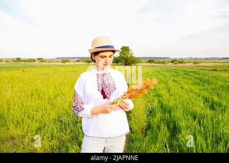 Unschärfe Frau in vyshywanka halten Bouquet von reifen goldenen Ähren auf der Wiese Natur Hintergrund gebunden. Flagge Ukraine. Unabhängigkeit. Agricu Stockfoto