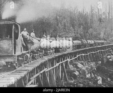 Huon Timber Co. Tramway, Geeveston ca. 1906 Stockfoto