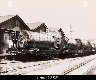 Mann, der neben einem großen Holzstamm auf einem Eisenbahnwagen steht, 1920s Holzindustrie in Australien, 1921-1924 Stockfoto