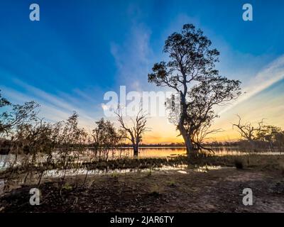 Blauer Himmel und Sonnenuntergang mit Bäumen in Silhouette und ihre Spiegelungen auf einem See. Stockfoto