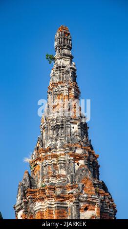 Wat Chaiwatthanaram, berühmter Ruinentempel in der Nähe des Chao Phraya Flusses in Ayutthaya, Thailand Stockfoto