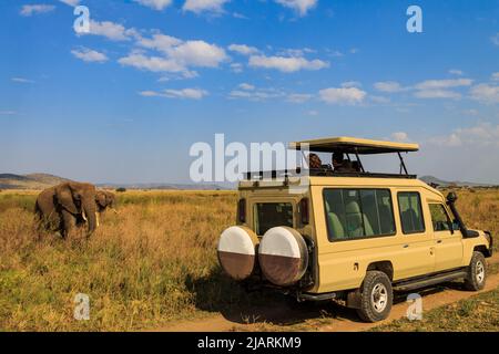 Touristen im Geländewagen beobachten und fotografieren afrikanische Elefanten im Serengeti Nationalpark, Tansania. Afrikanische Safari Stockfoto