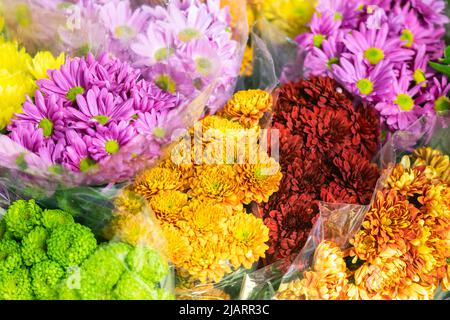 Eine Auswahl an bunten Blumensträußen für Blumenarrangements Stockfoto