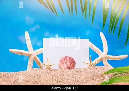 Weiße und gelbe Seesterne, Muschel mit Blatt Papier und Palmen auf Sand. Urlaub, Reisekonzept, Urlaub. Speicherplatz kopieren Stockfoto