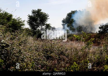 UN vasto incendio oggi pomeriggio ha interessato un una area verde di proprietà della TAV in zona Prenestino. Oltre a bruciare le sterpaglie sono finiti in fumo molti materiali di risulta Stockfoto