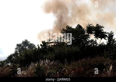 UN vasto incendio oggi pomeriggio ha interessato un una area verde di proprietà della TAV in zona Prenestino. Oltre a bruciare le sterpaglie sono finiti in fumo molti materiali di risulta Stockfoto