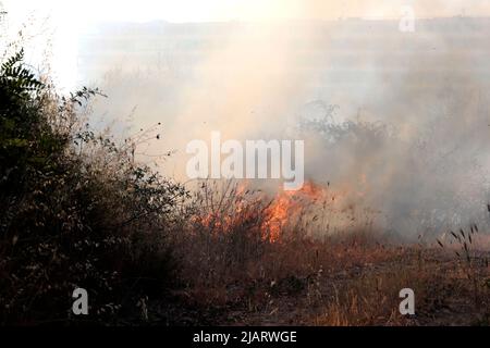 UN vasto incendio oggi pomeriggio ha interessato un una area verde di proprietà della TAV in zona Prenestino. Oltre a bruciare le sterpaglie sono finiti in fumo molti materiali di risulta Stockfoto