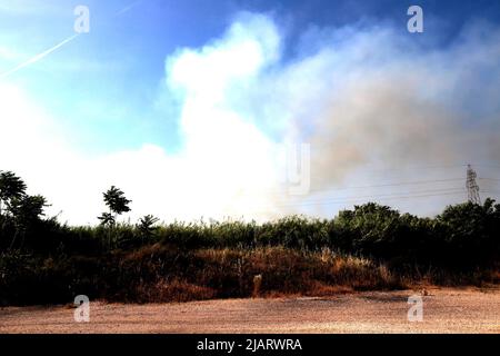 UN vasto incendio oggi pomeriggio ha interessato un una area verde di proprietà della TAV in zona Prenestino. Oltre a bruciare le sterpaglie sono finiti in fumo molti materiali di risulta Stockfoto