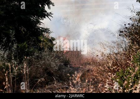 UN vasto incendio oggi pomeriggio ha interessato un una area verde di proprietà della TAV in zona Prenestino. Oltre a bruciare le sterpaglie sono finiti in fumo molti materiali di risulta Stockfoto