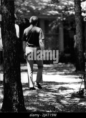 Mitglied der demokratischen Partei Jimmy Carter Stockfoto