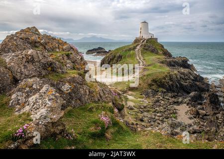 TWR Mawr Lighthouse, Anglesey, Nordwales Stockfoto