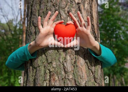 Weibchen umarmt einen Baum, der eine rote Herzform im Wald zeigt. Natur Liebe und Schutz Konzept. Stockfoto