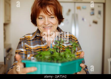 Porträt einer älteren lächelnden Frau im karierten Hemd, in der Küche stehend, mit einem grünen Keimling in der Box. Stockfoto