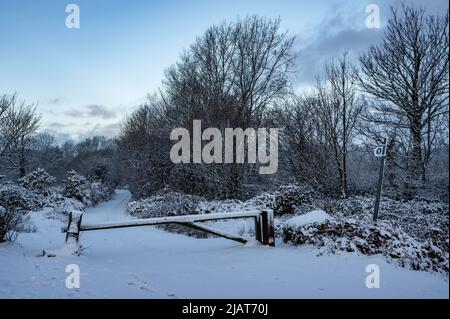 Eine mit Schnee bedeckte Landstraße am Morgen nach einem schweren Schneefall in South Wales, Großbritannien Stockfoto