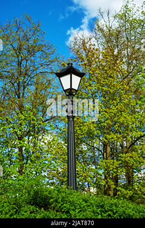 City Street Light. Reihe von alten Laternenpfosten in einem Park. Hochwertige Fotos Stockfoto