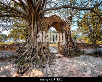 Wat Phra Ngam Ruinentempel in Ayutthaya, Thailand Stockfoto