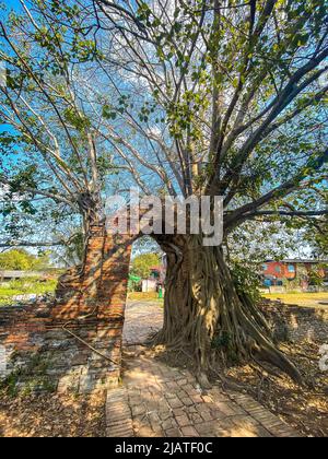 Wat Phra Ngam Ruinentempel in Ayutthaya, Thailand Stockfoto