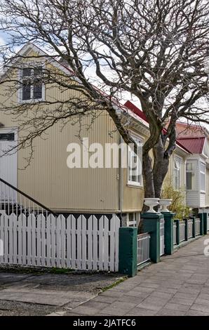 Reykjavik, Island, 25. April 2022: Kleines traditionelles Haus in der Altstadt mit einem relativ großen Baum im Garten Stockfoto