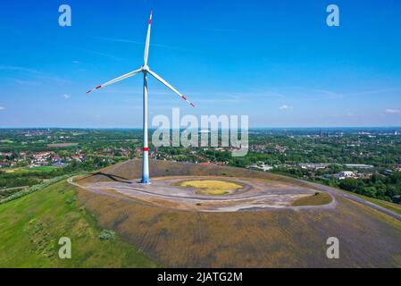 Gladbeck, Ruhrgebiet, Nordrhein-Westfalen, Deutschland - Windturbine auf der Mottbruchhalde, ein Abraumstapel in Gladbeck-Brauck. Die Nabenhöhe des Stockfoto