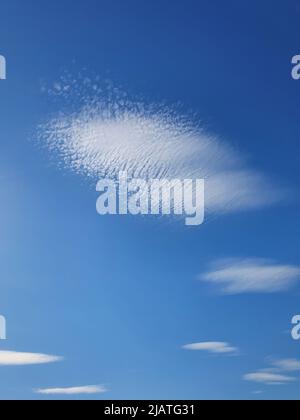 Abstrakte Zirruswolken auf dem Hintergrund des blauen Himmels. Wunderschöne Wolkenlandschaft Stockfoto