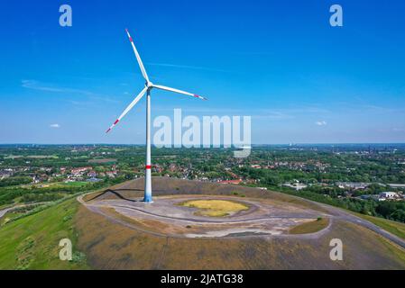 Gladbeck, Ruhrgebiet, Nordrhein-Westfalen, Deutschland - Windturbine auf der Mottbruchhalde, ein Abraumstapel in Gladbeck-Brauck. Die Nabenhöhe des Stockfoto