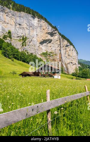 Typisches Schweizer Berghaus mit Staubbach-Wasserfall, Lauterbrunnen, Kanton Bern, Schweiz Stockfoto