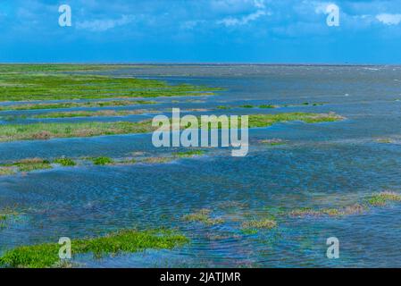 Everschop, Halbinsel Eiderstedt, Nordfriesland, , Schleswig-Holstein, Norddeutschland Stockfoto