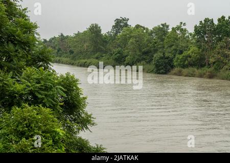 Blick auf dichten Wald und sharda oder sarda Fluss fließt in pilibhit Tiger Reserve Nationalpark Bifurkation indien asien Stockfoto