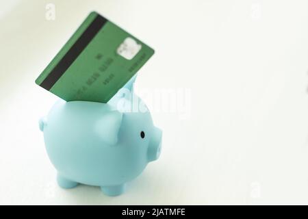 Sparschwein und Kreditkarte auf einem Büro-Desktop: Spareinlagen, Investitionen und Einlagenkonzept. Stockfoto