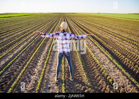 Die Bäuerin kultiviert auf ihrem Land Sojabohnen. Stockfoto