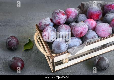 Auf dem Tisch in einer Schublade sind große reife Pflaumen. Nahaufnahme auf dunklem Hintergrund. Der Blick von oben. Stockfoto