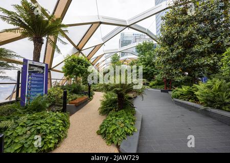 Crossrail Place Dachgarten Elizabeth Line an der Canary Wharf U-Bahn-Station auf Isle of Dogs, Tower Hamlets im Zentrum von London Stockfoto