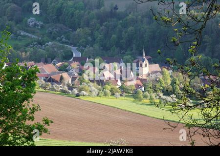 Das Dorf Baechlingen - Bächlingen - Hohenlohe, Baden-Württemberg, Deutschland, Europa. Stockfoto