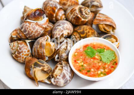 Frisch gefleckte babylon Sea Shell limpet Ozean Gourmet Meeresfrüchte im Restaurant, Babylonia areolata Schalentiere Meeresfrüchte auf weißem Teller mit Meeresfrüchten sauc Stockfoto