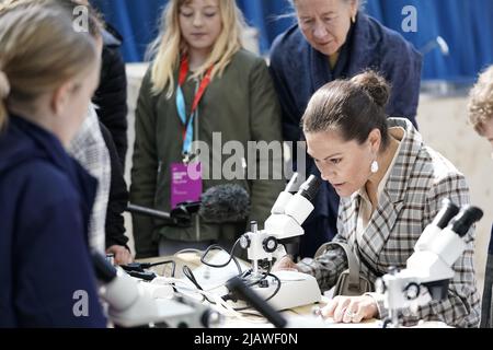 Kronprinzessin Victoria besucht die IKEA-Ausstellung in der Magasin 405 in Helsingborg, Schweden, 01. Juni 2022. Foto Bjorn Larsson Rosvall / TT-Code 9200 Stockfoto