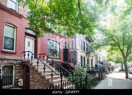 Von Bäumen gesäumte Straße mit braunen Häusern in Crown Heights, Brooklyn, New York City, New York Stockfoto