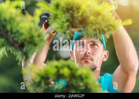 Professioneller Kaukasischer Gärtner, der Pflanzen für gute Gesundheit bepflanzt. Schneiden toter Teile einer Anlage. Gartenbauindustrie. Stockfoto