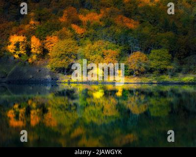 Kleiner See und Herbstfarbspiegelung in der Nähe des Colubmia River. Columbia River National Scenic Area, Washington Stockfoto