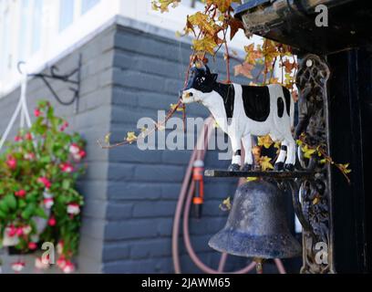 Lustige Kuh Türklingel oder Klopfer im Vordergrund. Ein hängender Korb mit Blumen ist im Hintergrund verschwommen zu sehen Stockfoto