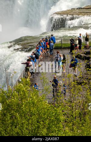 Niagara Falls State Park in New York Stockfoto