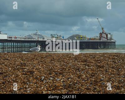 Eine Möwe blickt auf eine wehmütige, nostalgische Szene mit Kiesstrand, brechenden Wellen und der komplizierten Struktur und Unterhaltung am Brighton Pier. Stockfoto