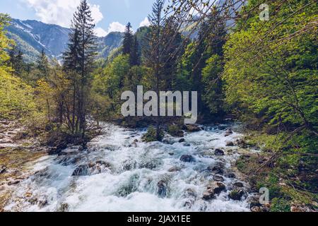 Cold Mountain Stream aus Wasserfall Savica, Fluss Sava in der Nähe von Lake Bohinj, Slowenische Alpen, Slowenien. Der Sava Bohinjka ist ein Oberlauf des Flusses Sava Stockfoto