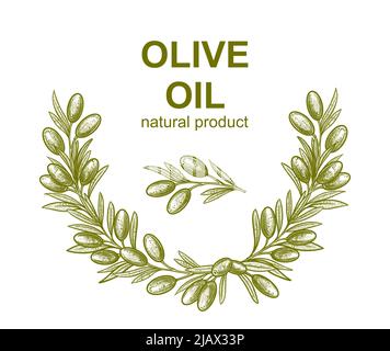 Olivenzweige. Vektor-Illustrationen von Zweigen mit Früchten und Blättern für die Erstellung von Logos, Mustern, Grußkarten, Hochzeitseinladungen. Stock Vektor