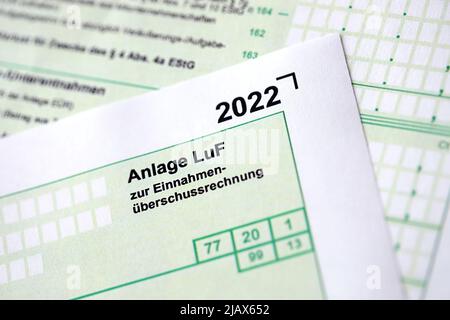 Anlage LUF - Deutsch 2022 Berechnung von Überschusseinnahmen und Informationen zur Ermittlung von Gewinnen aus der Forstwirtschaft. Das Konzept der Besteuerung und Buchhalter paperw Stockfoto