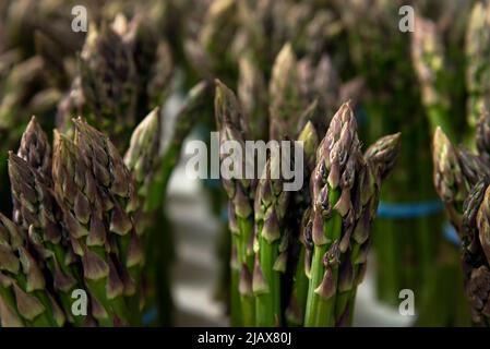 Frischer Spargel Stockfoto