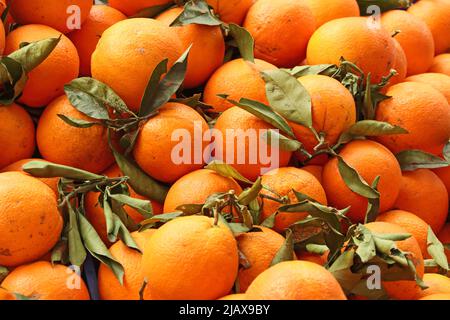 Frische Orangen zum Verkauf am Marktstand in Tarragona Stockfoto